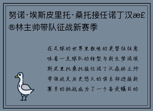 努诺·埃斯皮里托·桑托接任诺丁汉森林主帅带队征战新赛季 努诺·埃斯皮里托·桑托接任诺丁汉森林主帅带队征战新赛季